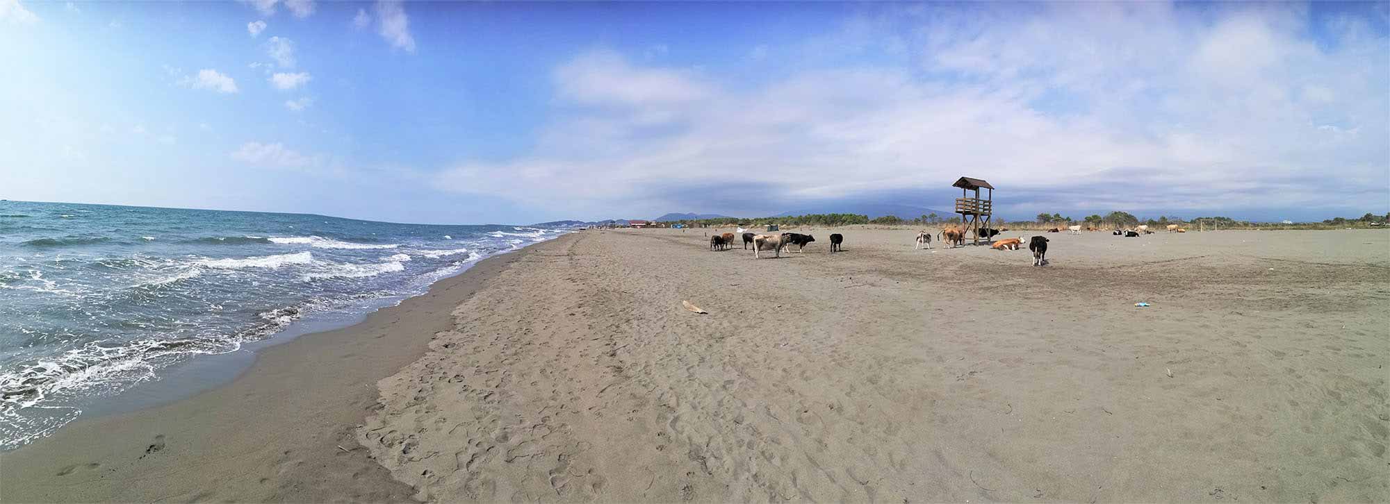 Černá Hora, Ulcinj