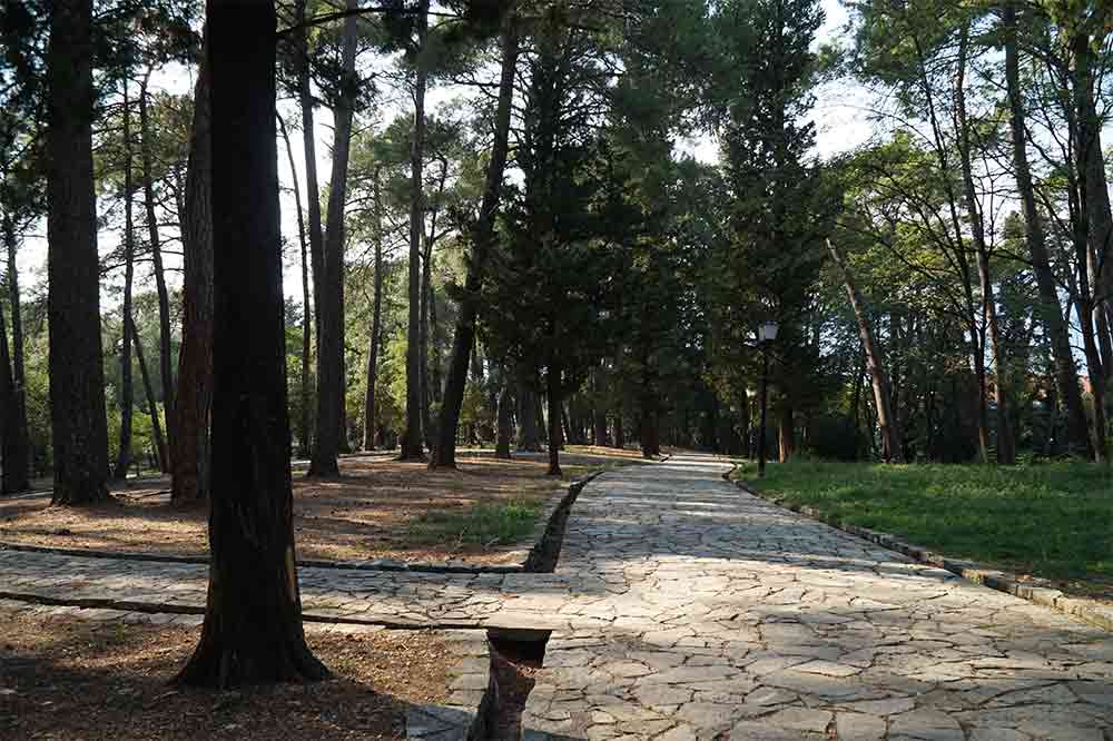 Černá Hora, Kotorská boka, Kotorský záliv, Porto Monte Negro, Tivat