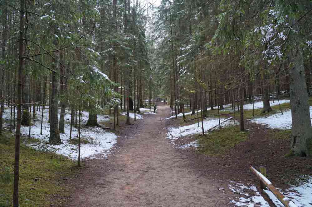 Ligatnes Takas, Lesní park