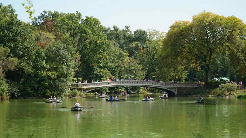 USA, New York, Central park, Manhattan