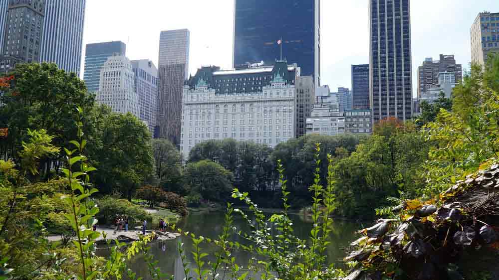 USA, New York, Central park, Manhattan, hotel Plaza