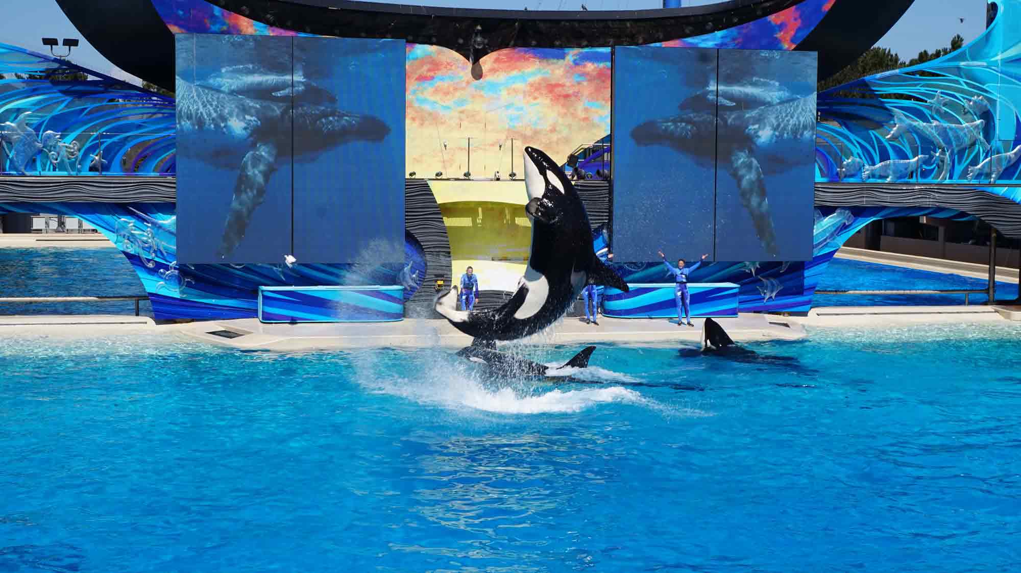 SeaWorld, San Diego, USA, Mořský svět