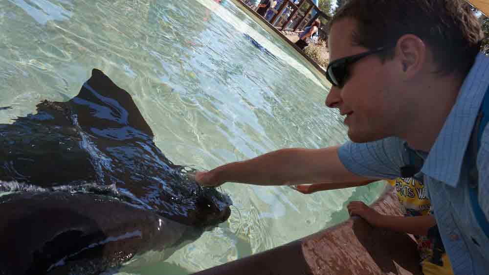 SeaWorld, San Diego, USA, Mořský svět