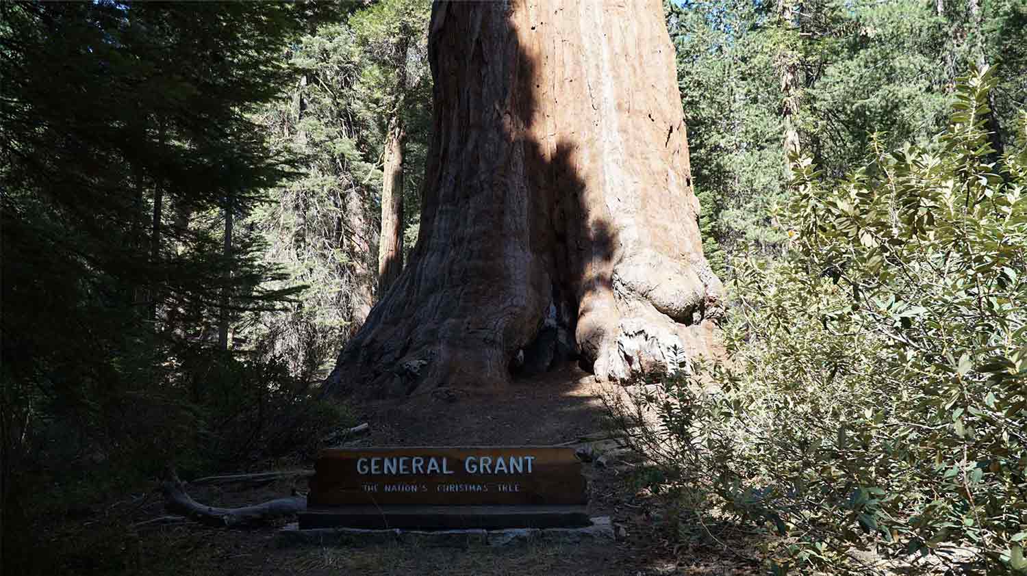 USA, Kalifornie, California, Sequoia National Park, Kings Canyon National Park, General Grant