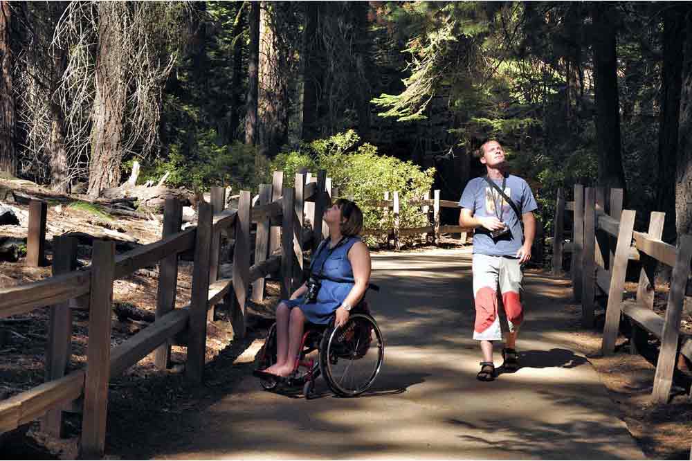 USA, Kalifornie, California, Sequoia National Park, Kings Canyon National Park