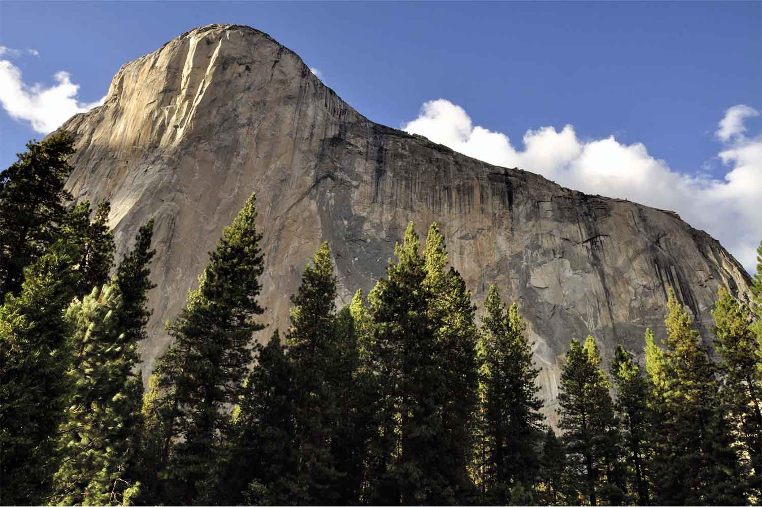 USA, Kalifornie, California, Yosemite National Park, El Capitan, Yosemitské údolí