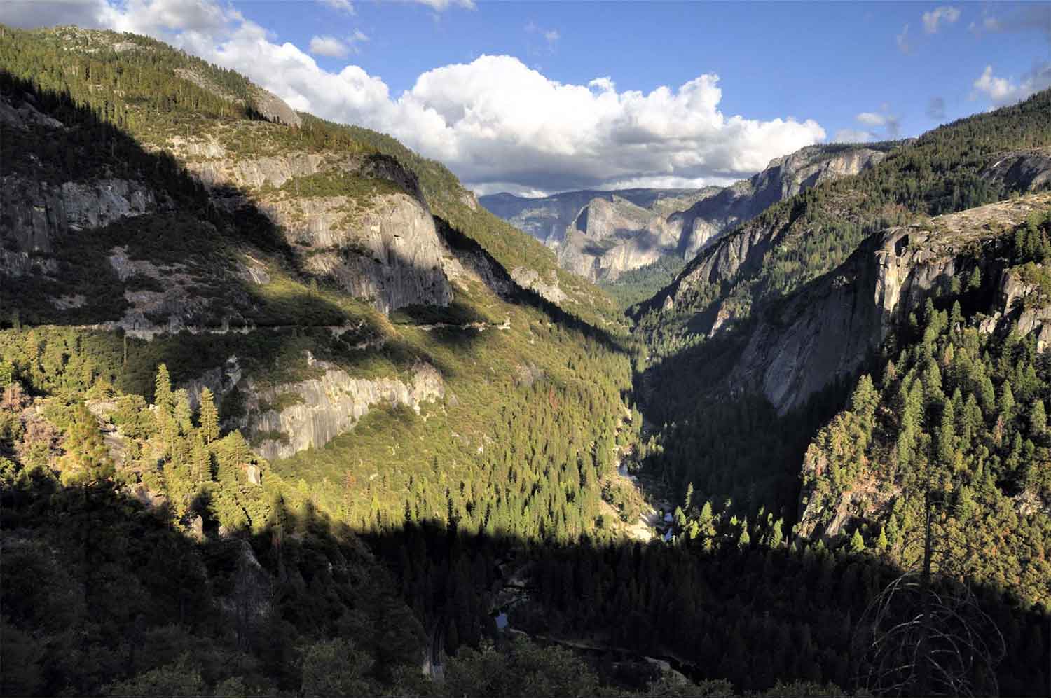 USA, Kalifornie, California, San Francisko, Yosemity National Park